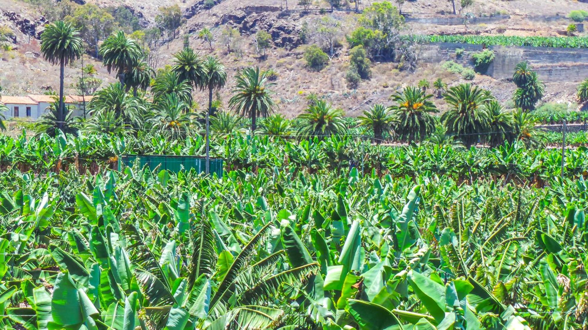 El Refugio Los Portales อารูกัส ภายนอก รูปภาพ